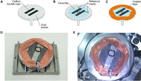 SEM sample mounting (A and B) Carbon double-tape is used to attach the ...