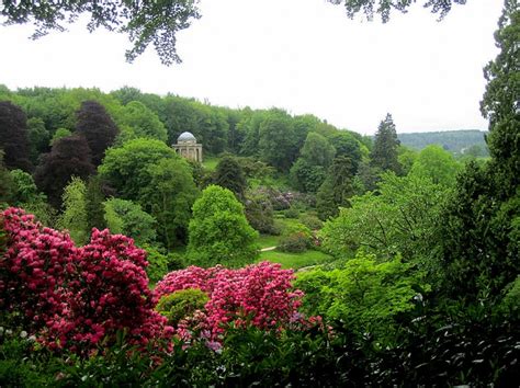 A Lush Green Forest Filled With Lots Of Trees And Flowers On Top Of A Hill