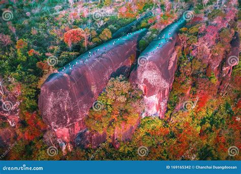 Rock That Looks Like Three Whales In Thailand Royalty Free Stock Image