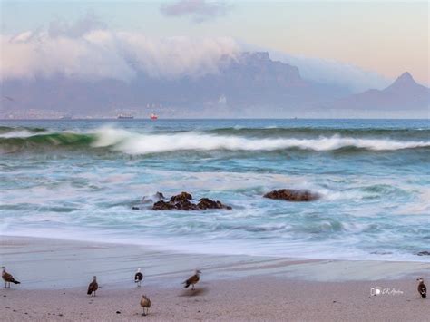 Table Mountain - Travel - Photo.net