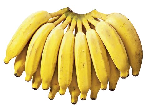 Banana prata é rica em nutrientes e de grande cultivo no Brasil