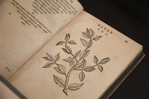 Piante officinali tra storia e scienza - Mostra di antichi volumi