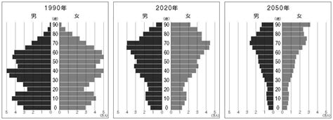 ｢2050年の人口ピラミッド｣全国比較で驚きの格差 関東甲信越の人口は今後どうなっていくのか 住みよさランキング 東洋経済オンライン