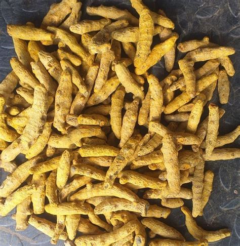 Single Polished Turmeric Finger At Rs 81 Kg Dried Turmeric Finger In