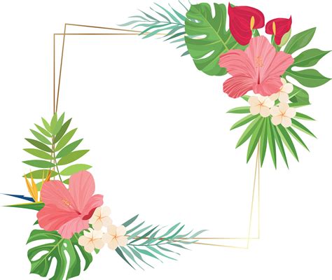 summer frame design with tropical leaves decoration 26784604 Vector Art at Vecteezy