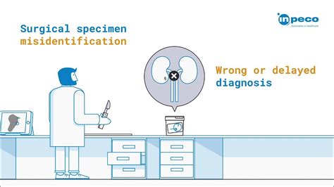 Anatomical Pathology Workflow Today And Tomorrow Youtube