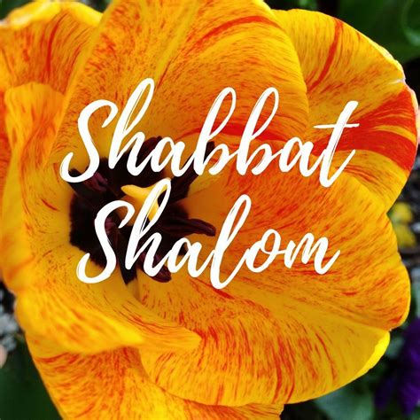 Shabbat Shalom Shabbat Shalom Shalom Shabbat