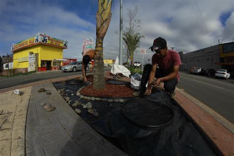 Gobierno De Rosarito Informa Avance Del 95 En Obra Del Bulevar Benito