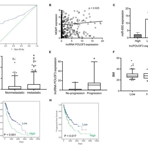 The Lncrna Pou F Contributes To The Disease Progression Of Melanoma