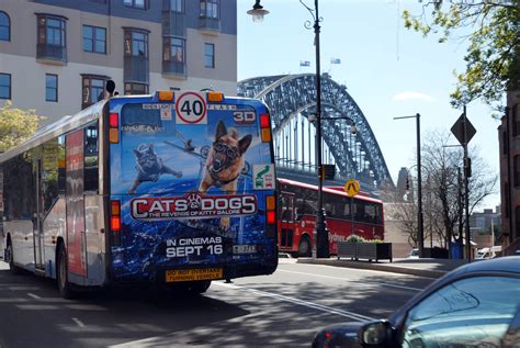 Bus Advertising Formats - Contra Vision