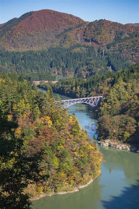 Train and Tadami River in Autumn Stock Photo - Image of fall, holiday ...