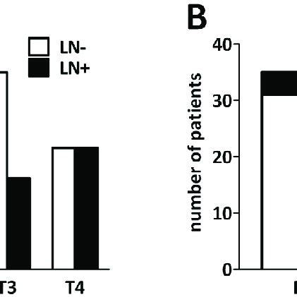 Lymph Node Ln Involvement And Tnm Staging In Thymic Epithelial And