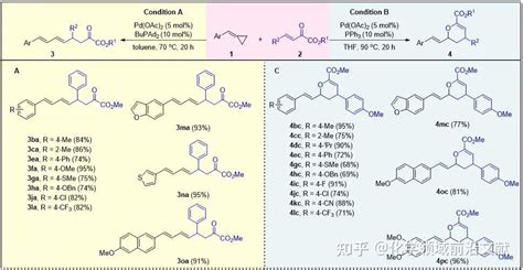 五邑大学彭金宝课题组org Lett：钯催化acps与βγ 不饱和α 酮酸酯的亲核反应：配体调控的发散性合成 知乎