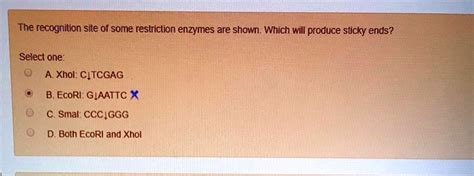 Solved The Recognition Site Of Some Restriction Enzymes Is Shown Which Will Produce Sticky