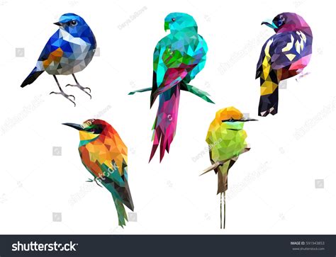 poly bird paradise images stock  vectors shutterstock
