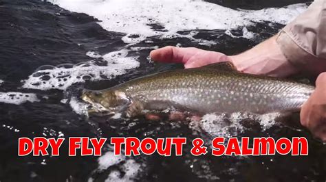 Dry Fly Trout And Salmon Fishing Labrador Youtube