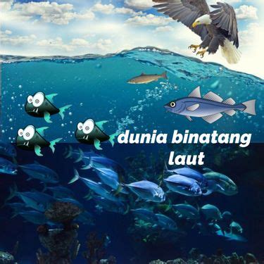 Book Creator Dunia Binatang Laut