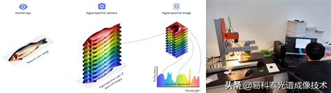 易科泰提供推掃式高光譜成像系統應用於魚肉食品檢測研究 每日頭條