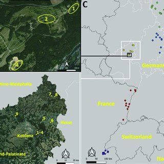 Distribution Of The Leopard Cat Subspecies Adapted From Patel Et Al