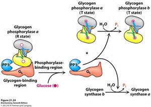 Biochemistry, Freeman, Seventh, 21st, Figures, Comics, Image, Fictional ...