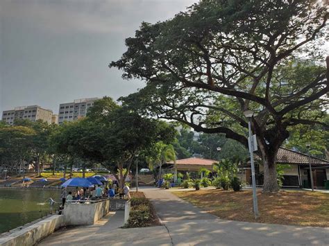 Pasir Ris Town Park Fishing Pond Map Bar Bicycle Price Singapore