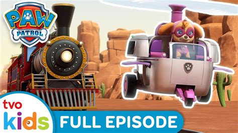 Pups Save The Dizzy Dust Express 🚂🏜️ Paw Patrol Full Episode Season 8