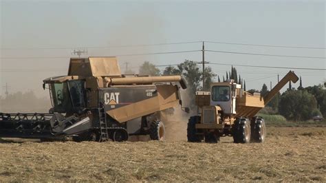 Claas Cat Lexion 485 And Sweco Self Propelled Grain Cart In Rice