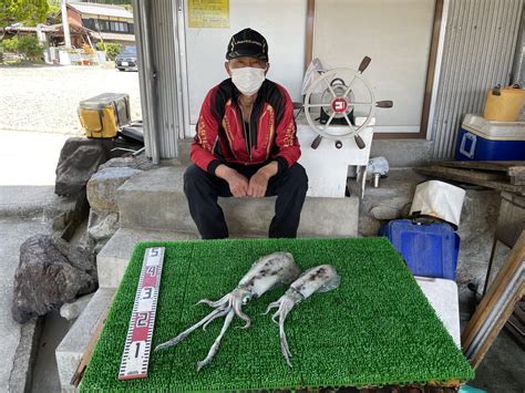 ヤエン釣りでアオリイカ2杯・ゲット！ 一栄丸渡船｜三重県紀北町