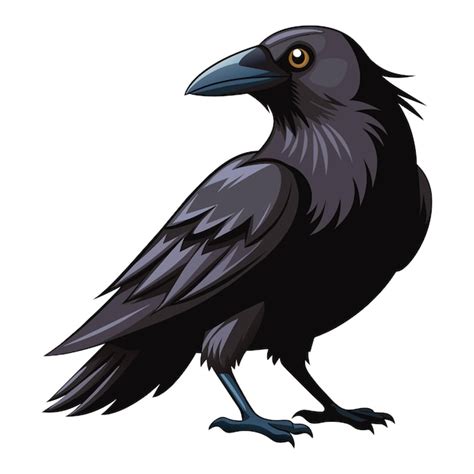 Premium Vector Crow Isolated Illustration On White Background