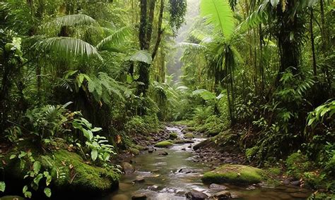 Costa Rica And Eu Launch Biodiversity Protection Initiative