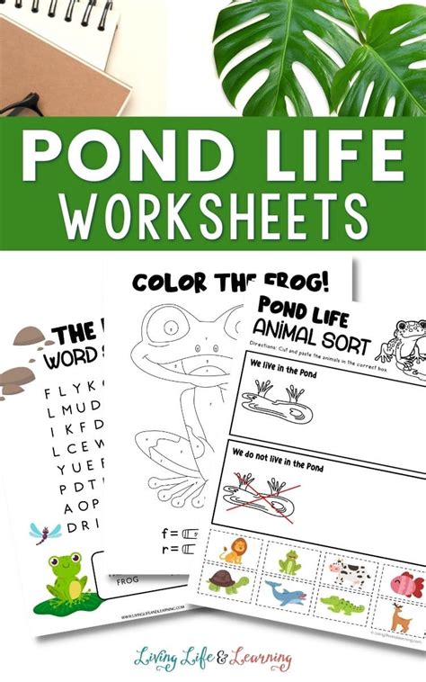 Pond Life Worksheets | Free Homeschool Deals