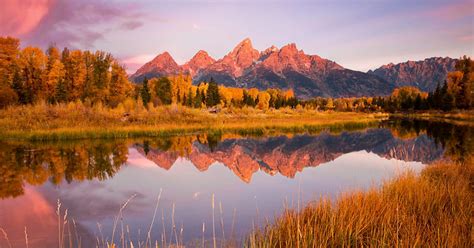 Chase Dekker Wild-Life Images | Grand Teton Workshop