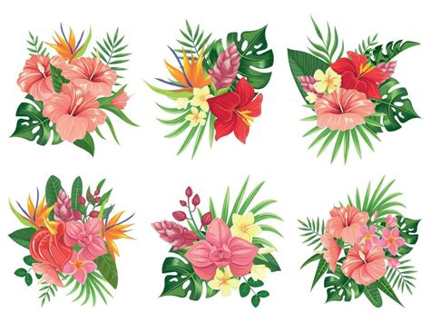 Tropical Leaves Flower Vector Best Flower Site