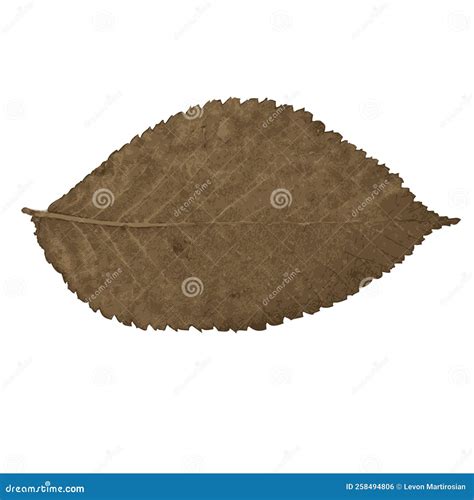 One Autumn Colorful Leaf on a White Background. Vector Art. Stock ...