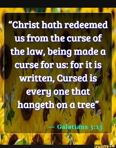 Christ Hath Redeemed Us From The Curse Of The Law Being Made A Curse