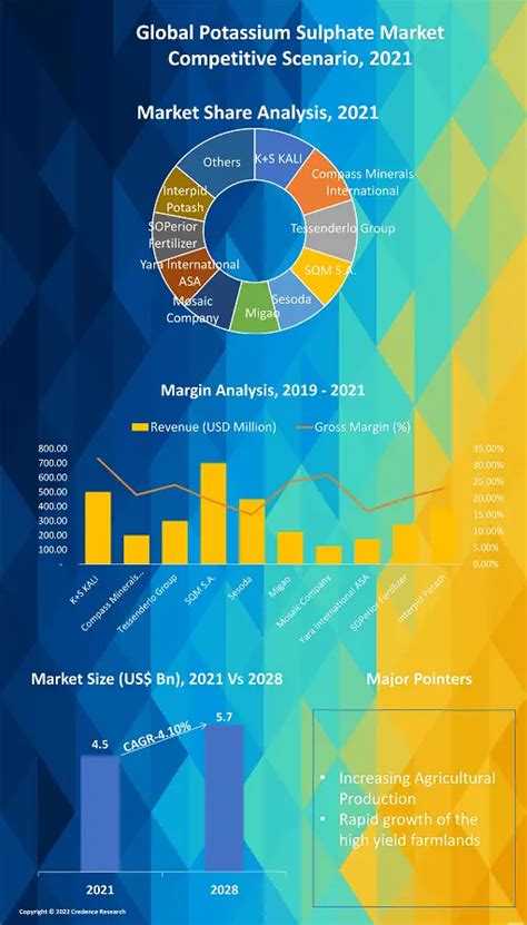 Potassium Sulphate Market Size And Forecast