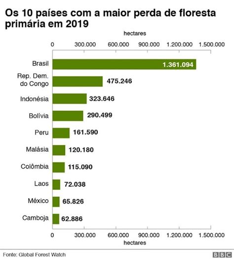 Brasil Foi Respons Vel Por Um Ter O Da Perda De Florestas Virgens No