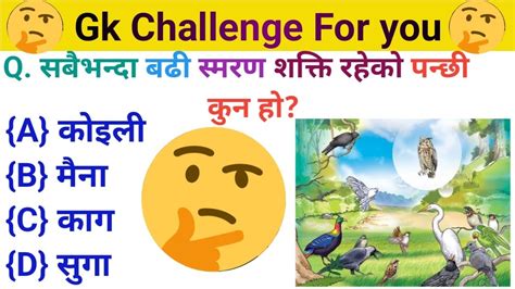 सबैभन्दा बढी स्मरण शक्ति रहेको पन्छी कुन होgk Nepal Gk Question