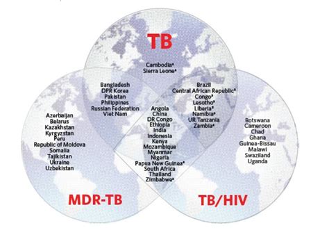 Global Tuberculosis • Apopo