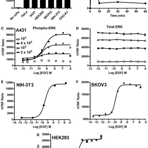 Inhibition Of Erk Pathway Assessed By The Phospho Erk Assay Cho