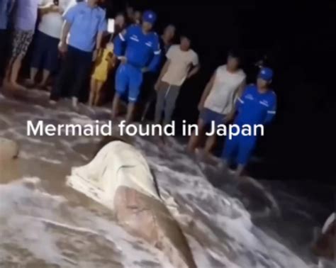 Mermaid Discovered In Japan Caught On Video Watch