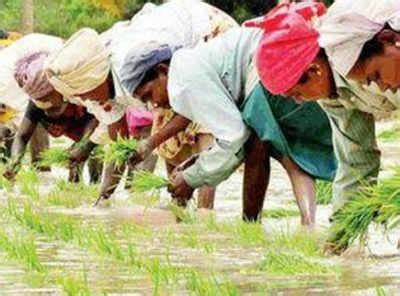 Monsoon Showers Boost Kharif Sowing Operations India News Times Of