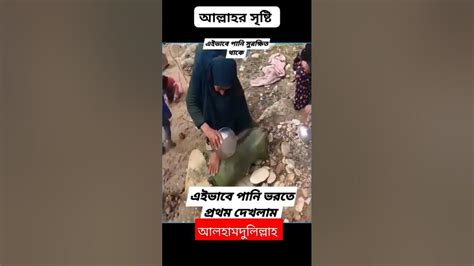 আল্লাহর নিয়ামতকে আমরা কত যে অপচয় করি Youtube