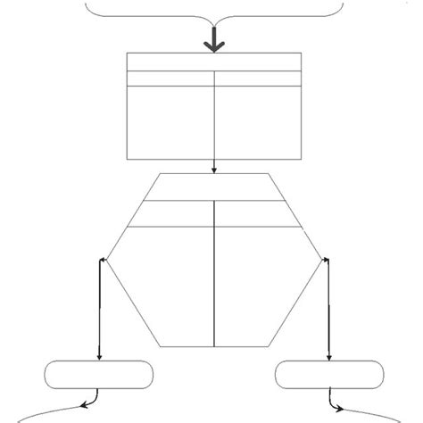 Mod Le Int Gratif De R Gulation Motionnelle De La Schizophr Nie