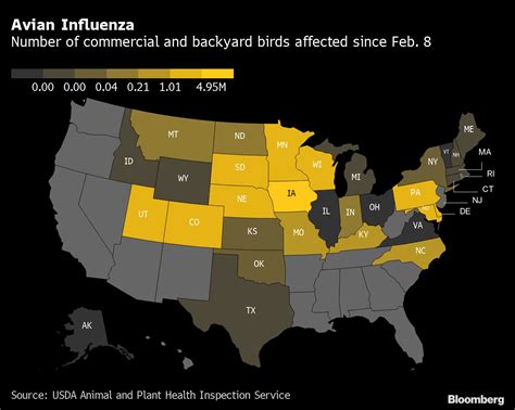 Bird Flu Outbreak 2024 Map Ontario Today Debee Moreen