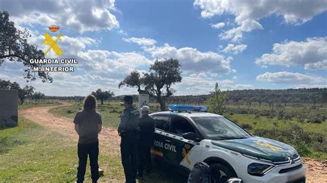 Rescatan A Dos Peregrinos Subidos A Una Encina Tras Ser Embestidos Por