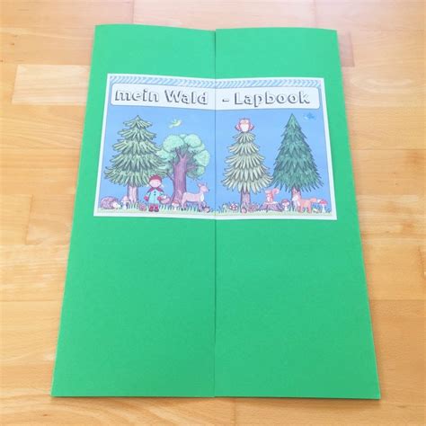 Wald Lapbook Im Sachunterricht Wald Grundschule Sachunterricht