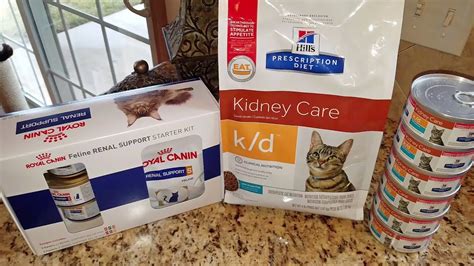 Get Homemade Cat Food Recipes For Kidney Disease Images – Pet My Favourite