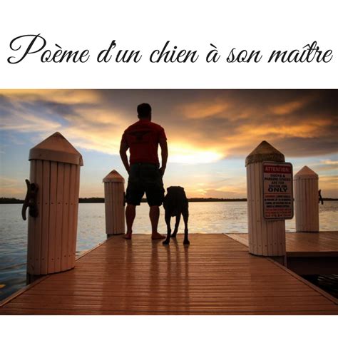 Poème Dun Chien à Son Maître Abc Chien Et Chat