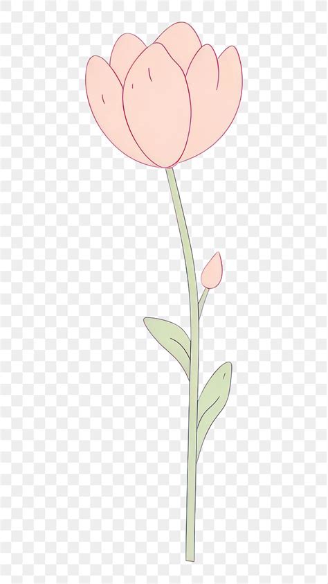 Wallpaper Aesthetic Tulip Images Free Photos Png Stickers